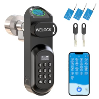 Serrure connectée biométrique RUILON U81 à code, RFID and empreinte digital