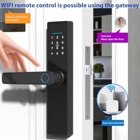 Smart Fingerprint Türschloss Tuya – elektronisch mit Tastatur und Griff