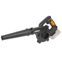 WORX WX094.9 cordless leaf blower – a powerful helper