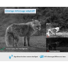 GardePro X50 4G LTE Jagdkamera, 48MP, Infrarot, IP66, 30m