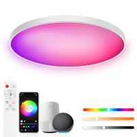 Birnetek 30W LED ceiling light, RGB, dimmable, control via app and Alexa, remote control