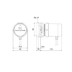 Grundfos 97916771 Greywater Pump, Black