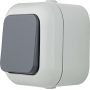 REV 005565 Atlantik, push-button light switch, damp room IP44, 1-pole, surface-mounted, grey