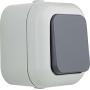 REV 005565 Atlantik, push-button light switch, damp room IP44, 1-pole, surface-mounted, grey