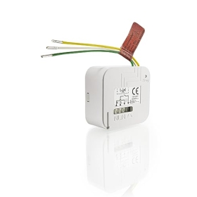 Somfy 2401162 – Receptor de empotrar RTS para persianas enrollables | Compatible con interruptor TaHoma