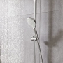 Hansgrohe water-saving hand shower