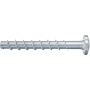 Screw - fischer. Fbs Ii 6X60/5 P