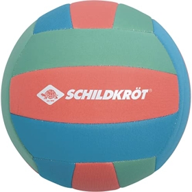 Schildkröt Tropischer Beachvolleyball