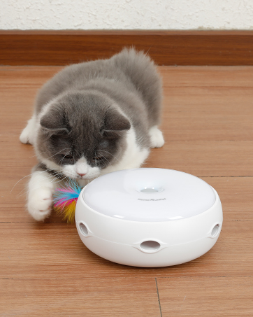 Interactive toys for cats