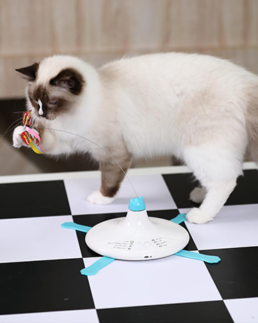 Interactive toys for cats