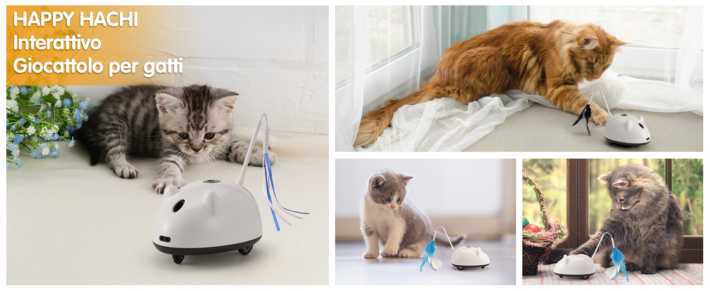 Interactive toys for cats